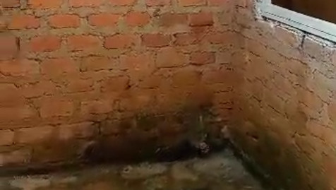 Damage to Brickwork